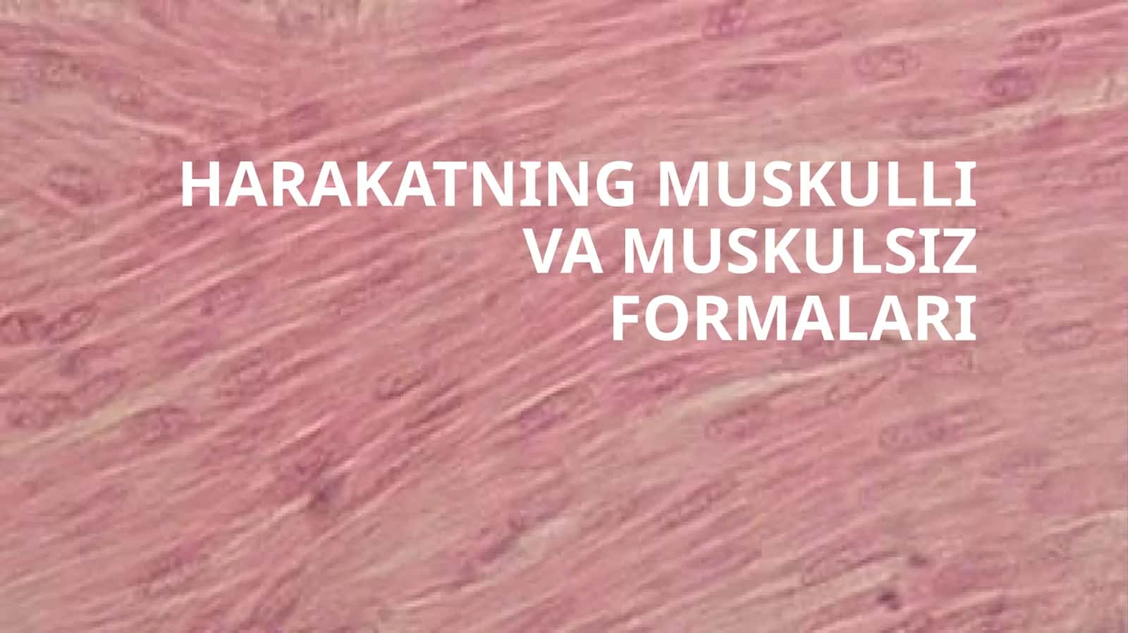 HARAKATNING MUSKULLI VA MUSKULSIZ FORMALARI