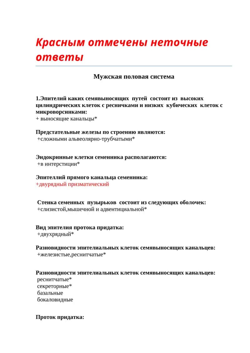 Мужская половая система