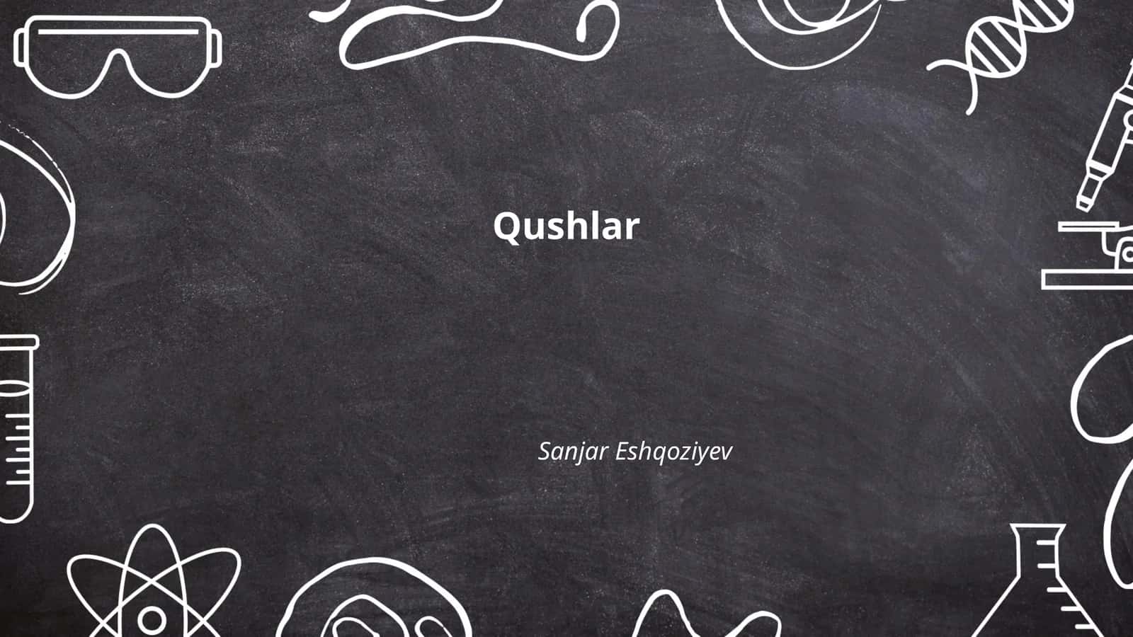 Qushlar