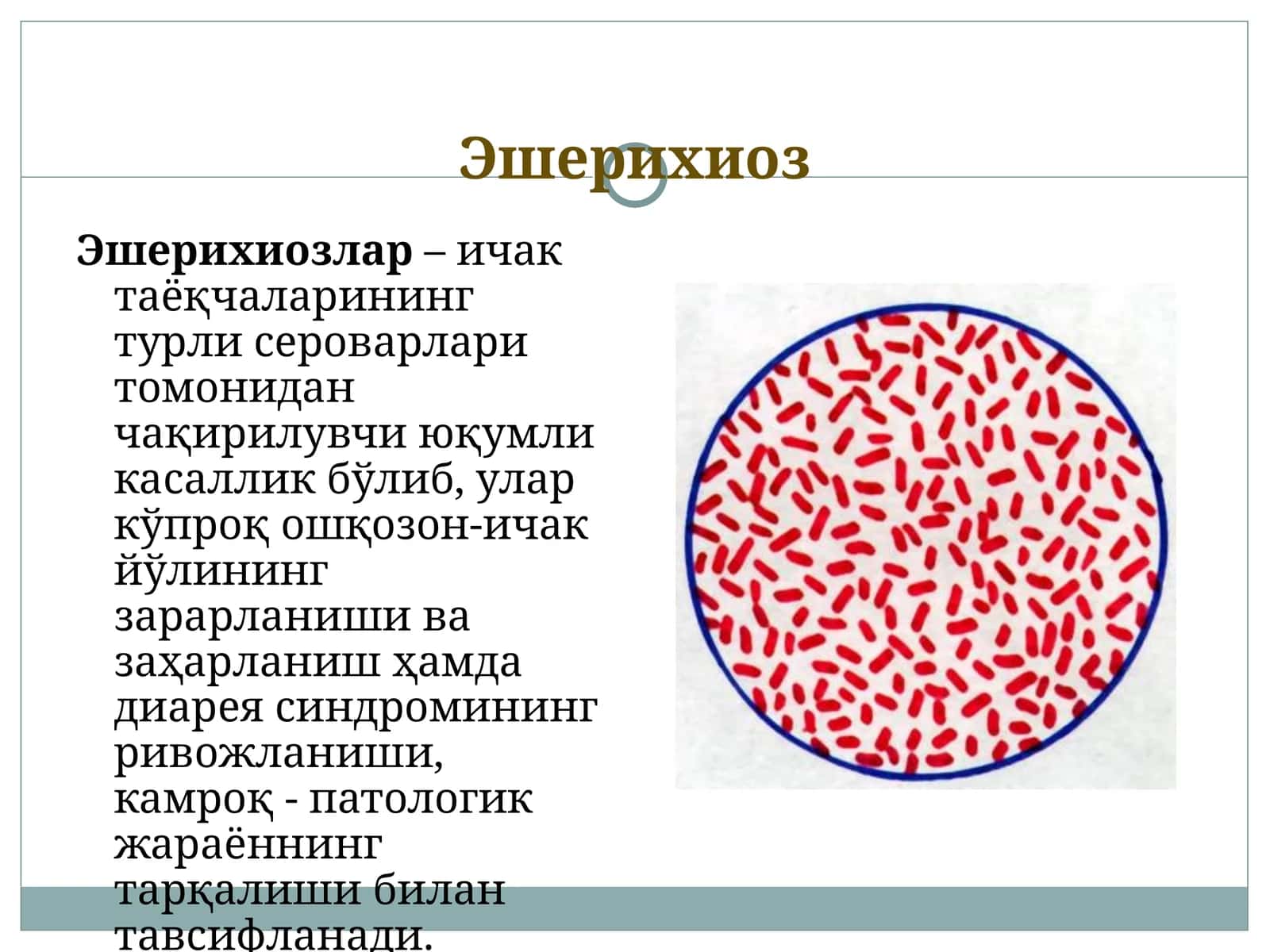 Эшерихиоз
