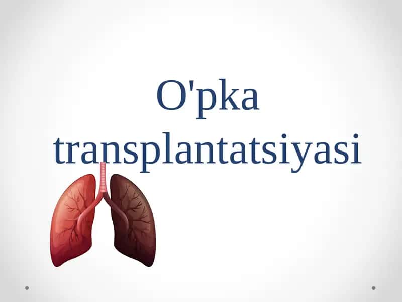 O'pka transplantatsiyasi