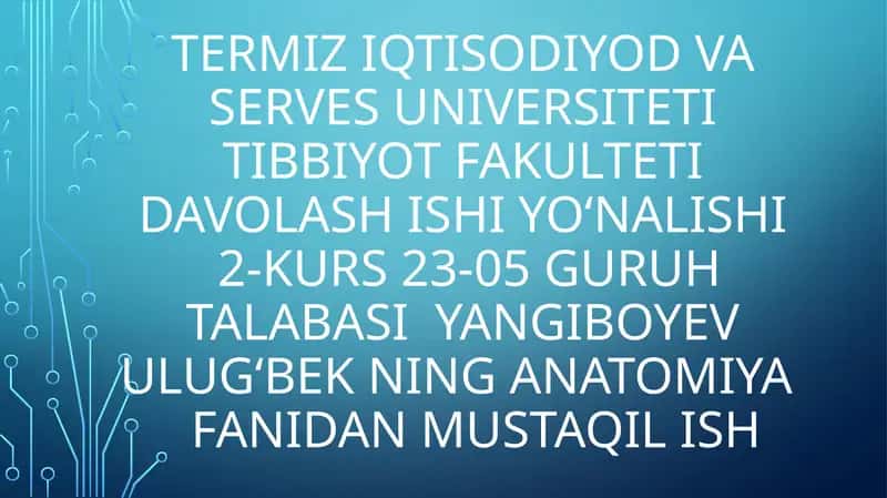 Ta’m va hid bilish analizatorlarining funksional anatomiyasi