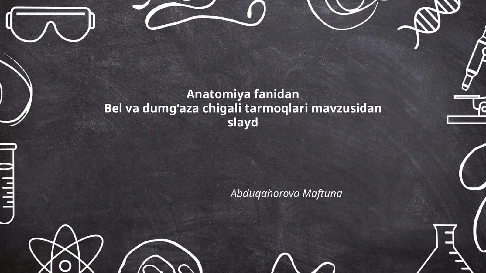 Bel va dumgʻaza chigali tarmoqlari tuzilishi