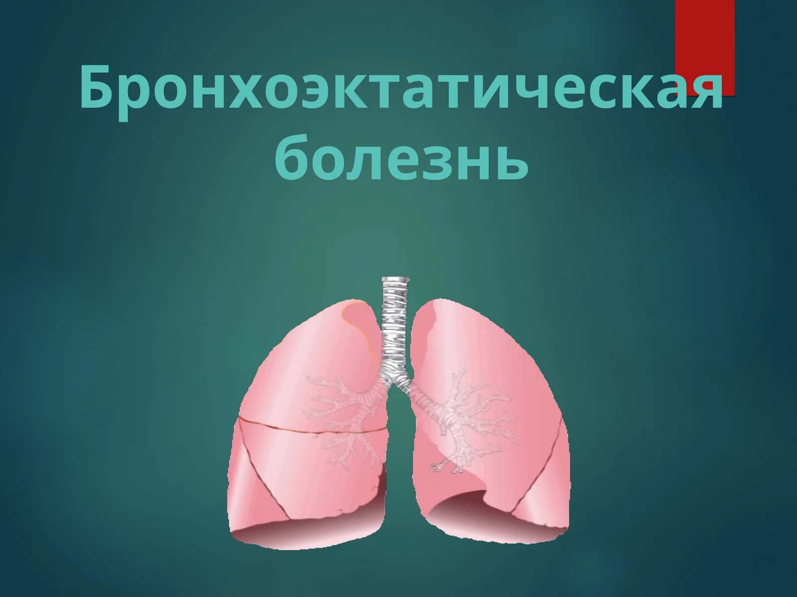 Bronxoekoz kasalligi БРОНХОЭКТАТИЧЕСКАЯ БОЛЕЗНЬ