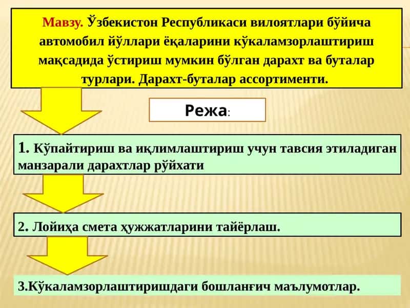 Автомобиль йўллари ёқаларини кўкаламзорлаштириш