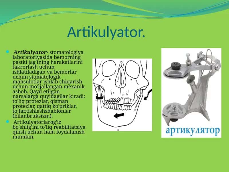 Artikulyator
