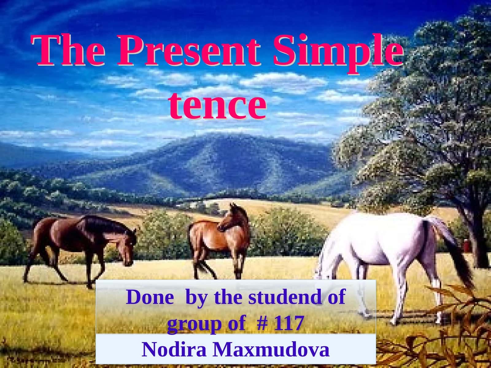 The Present Simple