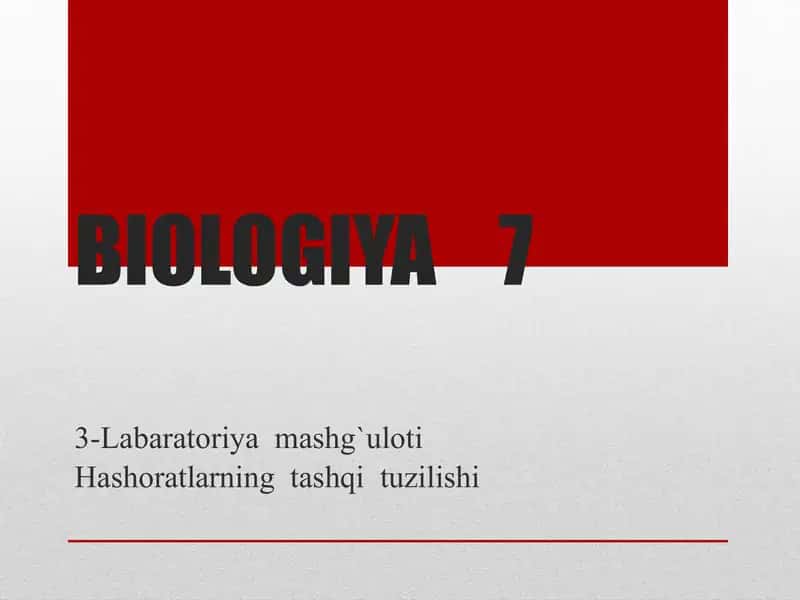 3-Labaratoriya mashg'uloti "Hashoratlarning tashqi tuzilishi"