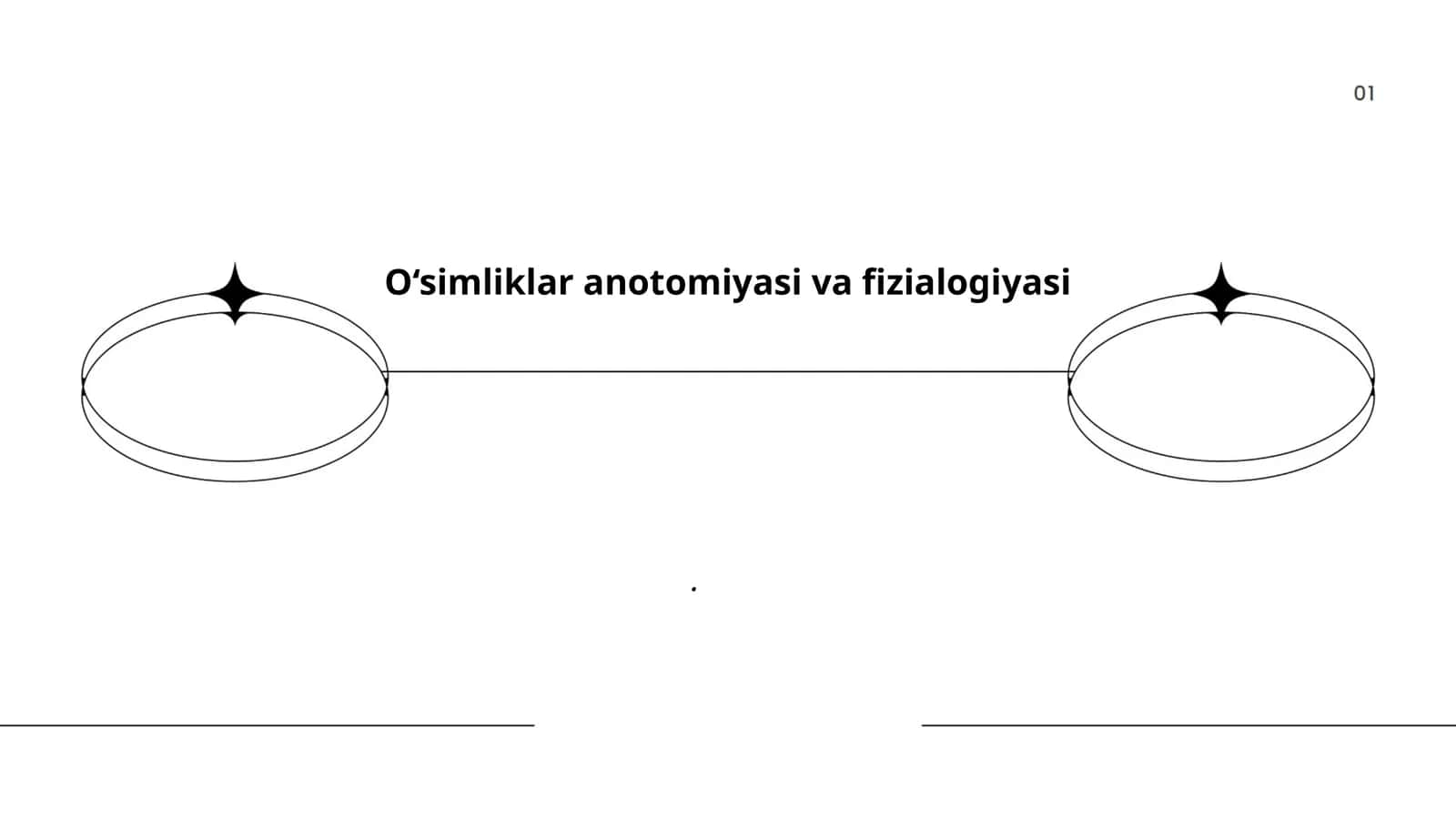 O‘simliklar anotomiyasi va fizialogiyasi