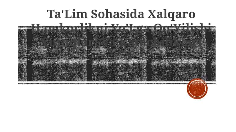 Ta'lim Sohasida Xalqaro Hamkorlikni Yo'Lga Qo'Yilishi Yutuqlari Va Kamchiliklari