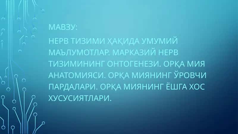 Нерв тизими ҳақида умумий маълумотлар. Марказий нерв тизимининг онтогенези. Орқа мия анатомияси. Орқа миянинг ўровчи пардалари. Орқа миянинг ёшга хос хусусиятлари.
