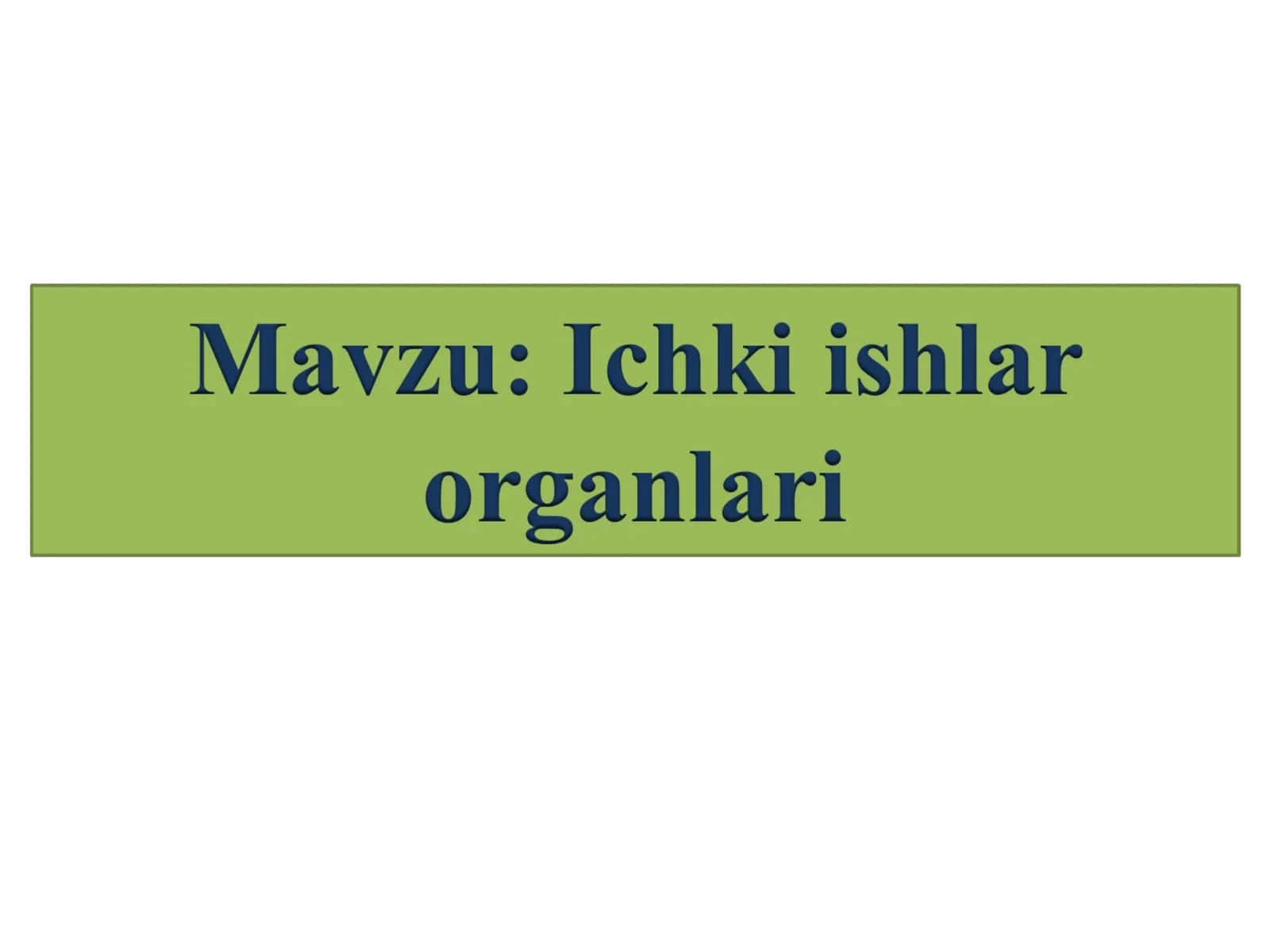 Ichki ishlar organlari