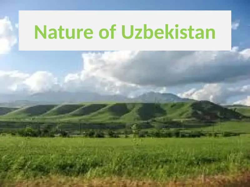 Nature of Uzbekistan