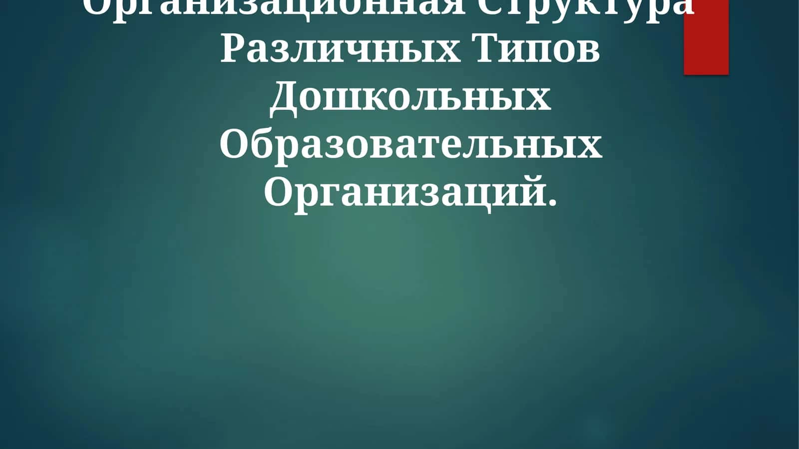 Организационная Структура