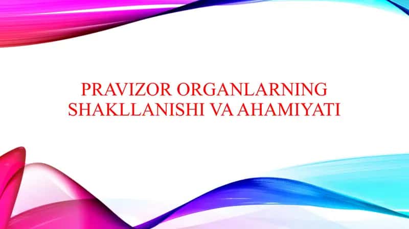 Pravizor organlarning shakllanishi va ahamiyati