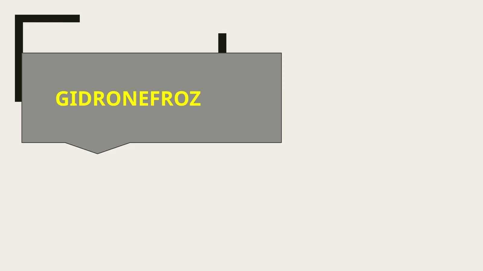 Gidronefroz