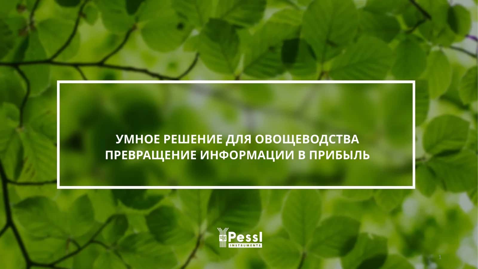 Октябрь 2022