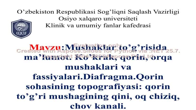 Mushaklar to’g’risida ma’lumot. Ko’krak, qorin, orqa mushaklari va fassiyalari.Diafragma.Qorin sohasining topografiyasi: qorin to’g’ri mushagining qini, oq chiziq, chov kanali.
