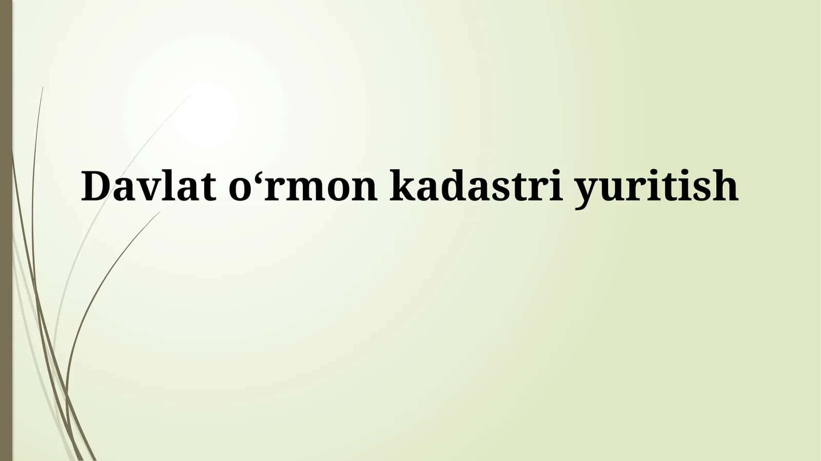 Davlat oʻrmon kadastrini yuritish