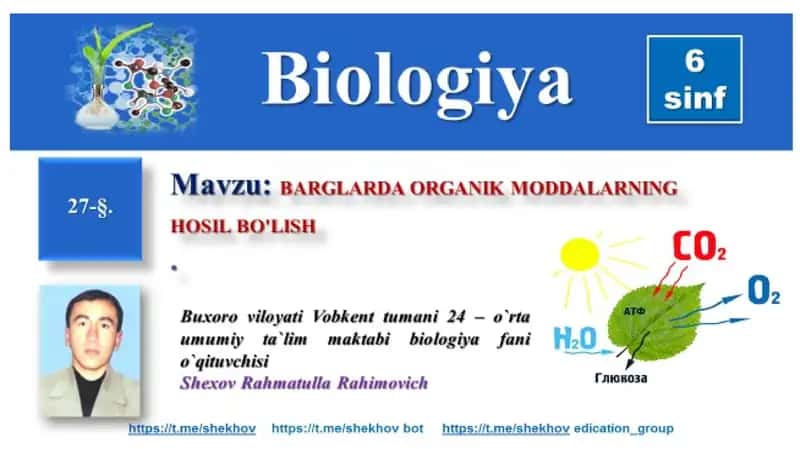 Organik moddalar hosil bo'lishi