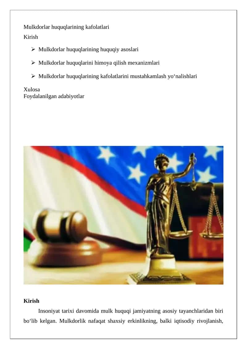 Mulkdorlar huquqlarining kafolatlari