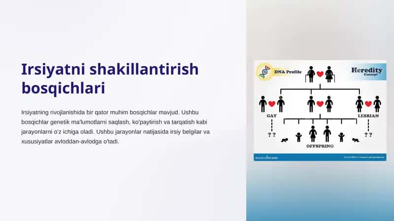 Irsiyatni shakillantirish bosqichlari
