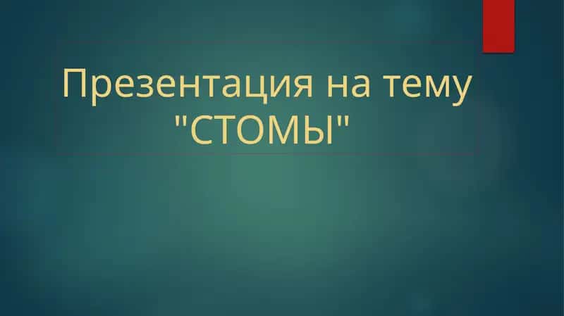 Презентация на тему"СТОМЫ"