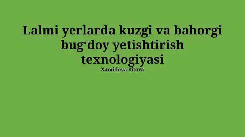 Lalmi yerlarda kuzgi va bahorgi bugʻdoy yetishtirish texnologiyasi