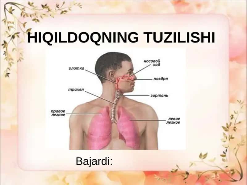 Hiqildoqning Tuzilishi