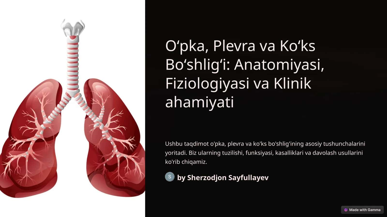 Oʻpka, Plevra va Koʻks Boʻshligʻi: Anatomiyasi, Fiziologiyasi va Klinik ahamiyati