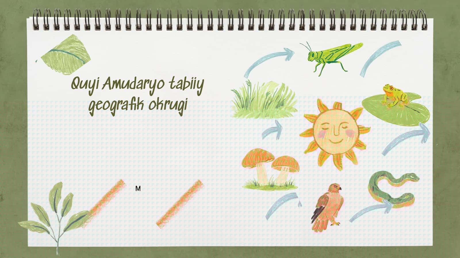 Quyi Amudaryo tabiiy geografik okrugi