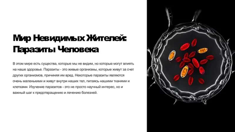 Мир Невидимых Жителей: Паразиты Человека
