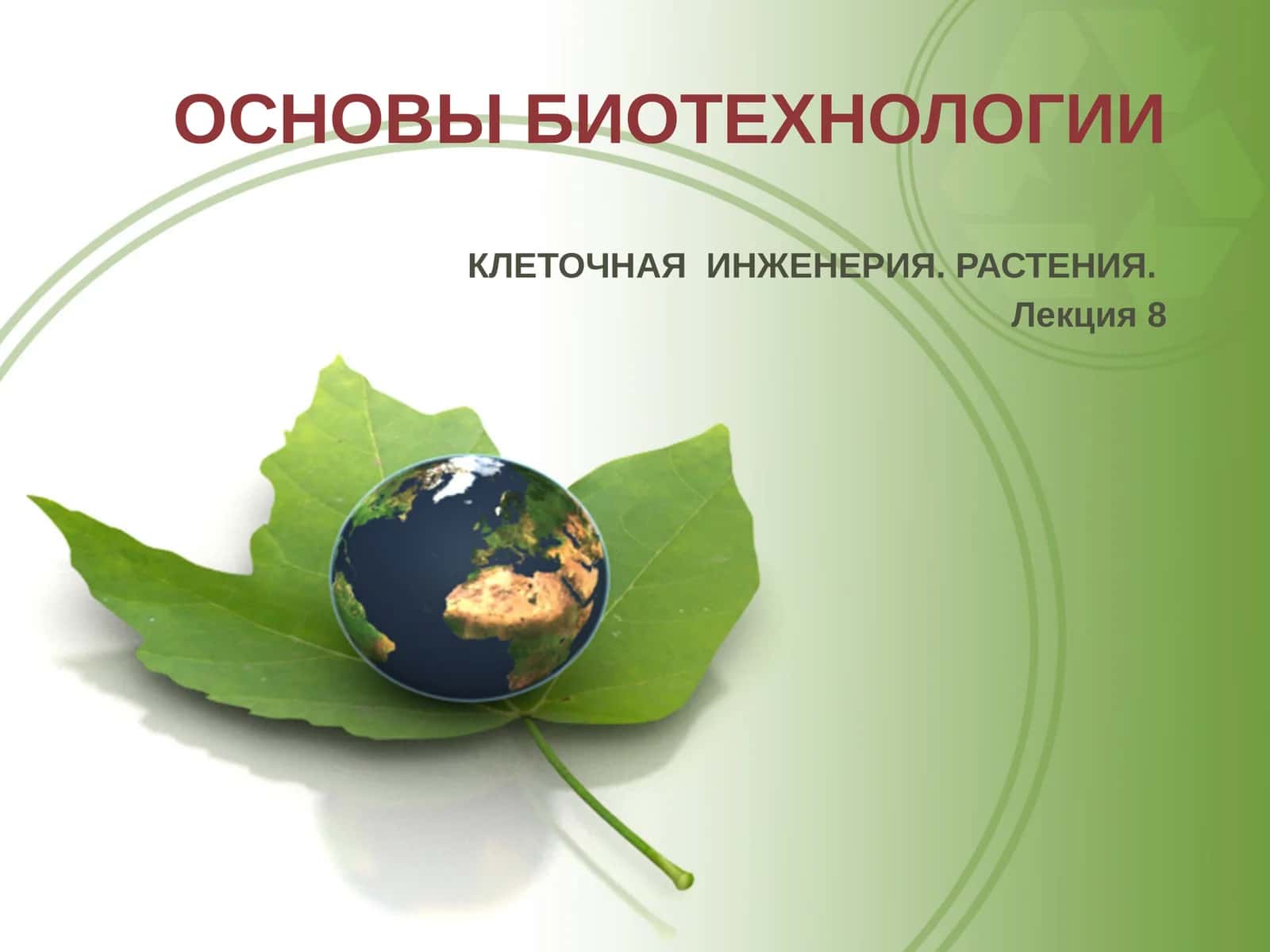 ОСНОВЫ БИОТЕХНОЛОГИИ