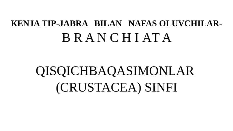 QISQICHBAQASIMONLAR (CRUSTACEA) SINFI