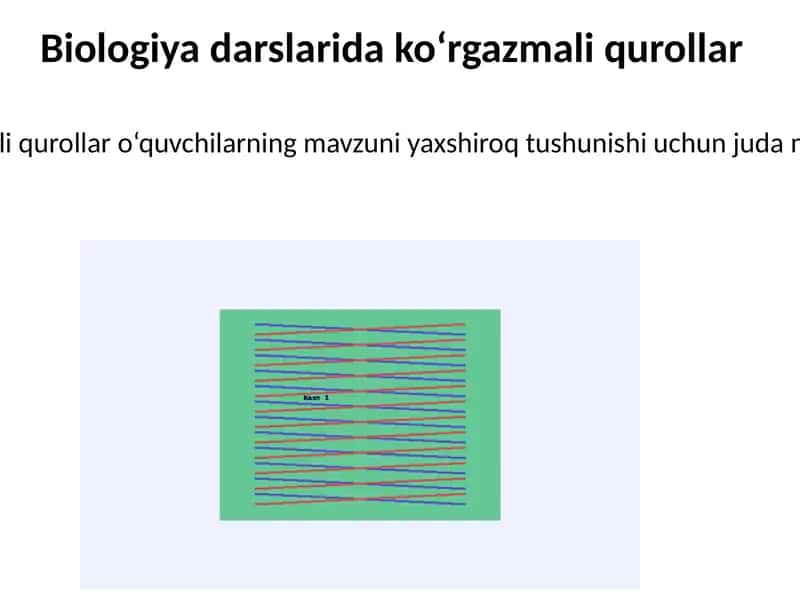 Biologiya darslarida koʻrgazmali qurollar
