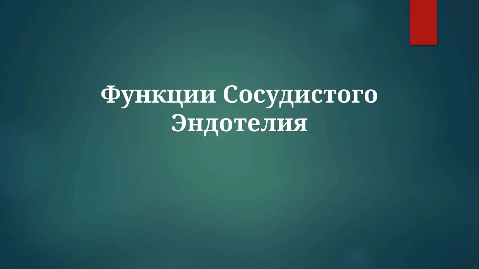 Функции Сосудистого Эндотелия