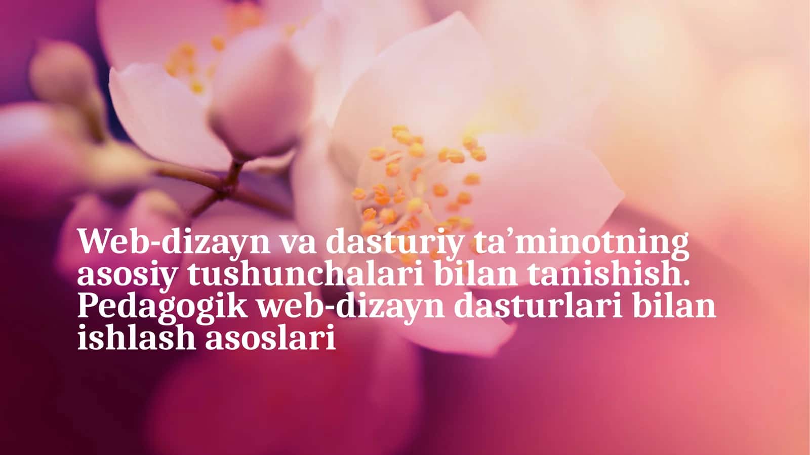 Web-dizayn va uning asoslari