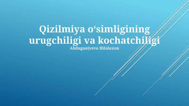 Qizilmiya oʻsimligining urugchiligi va kochatchiligi