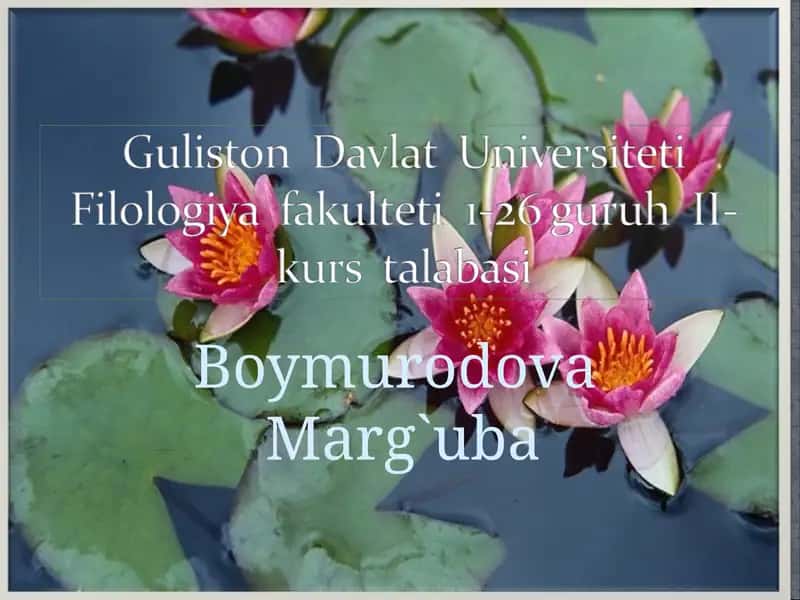 Alisher Navoiy – ruboiynavis