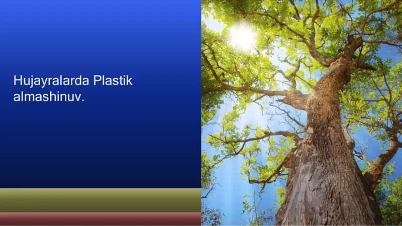 Plastik almashinuv