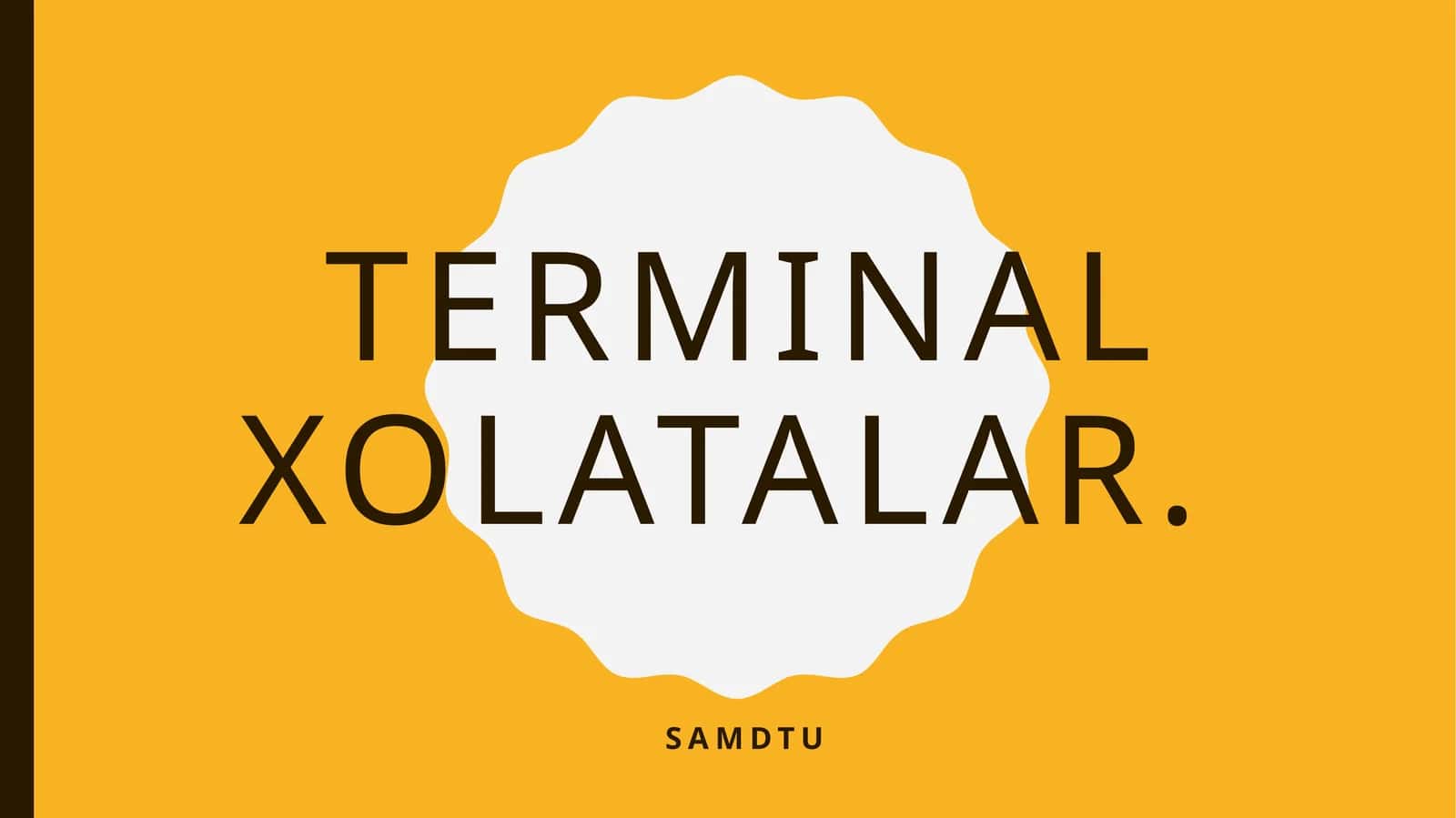 Terminal holatlar