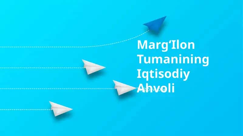 MargʻIlon Tumanining Iqtisodiy Ahvoli