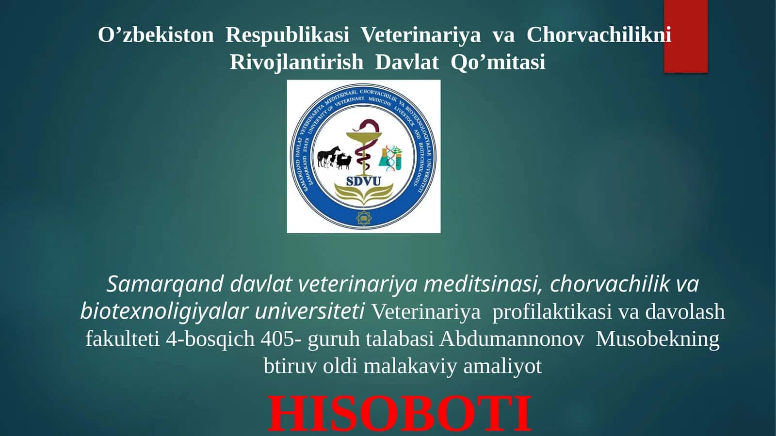 btiruv oldi malakaviy va amaliyot hisoboti