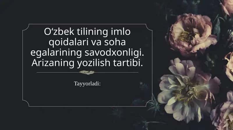 O‘zbek tilining imlo qoidalari va soha egalarining savodxonligi. Arizaning yozilish tartibi