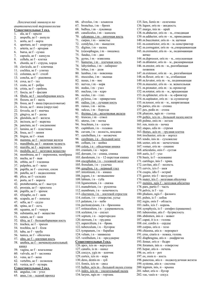 Лексический минимум по анатомической терминологии