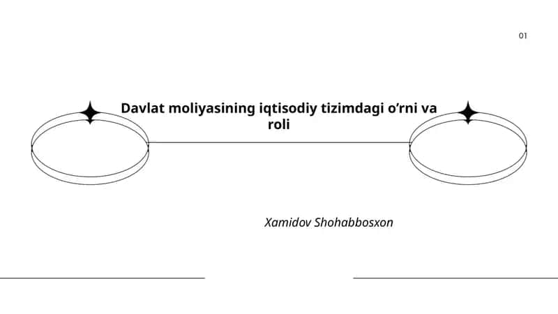Davlat moliyasining iqtisodiy tizimdagi o’rni va roli