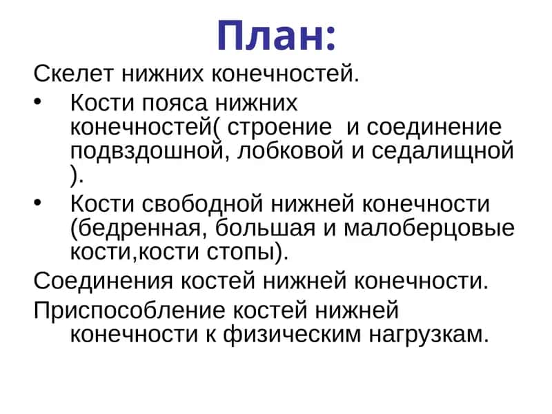 Скелет нижних конечностей