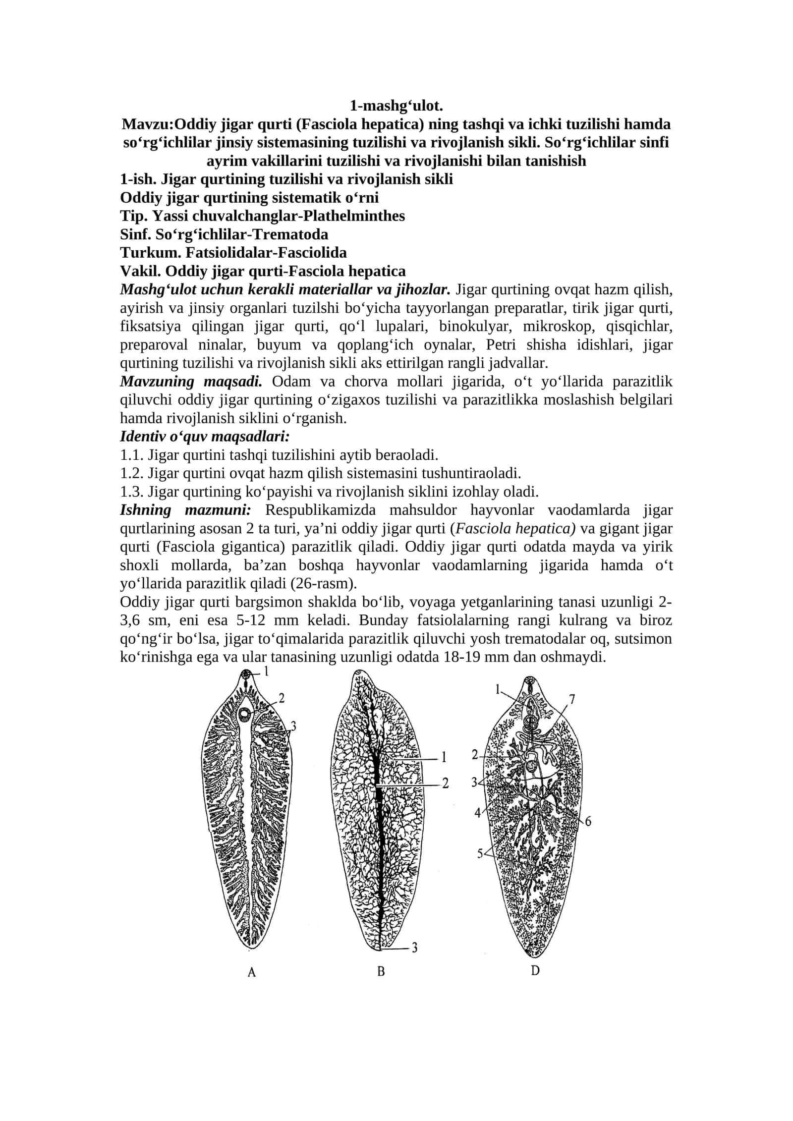 Jigаr qurti (Fasciola hepatica) ning tashqi va ichki tuzilishi