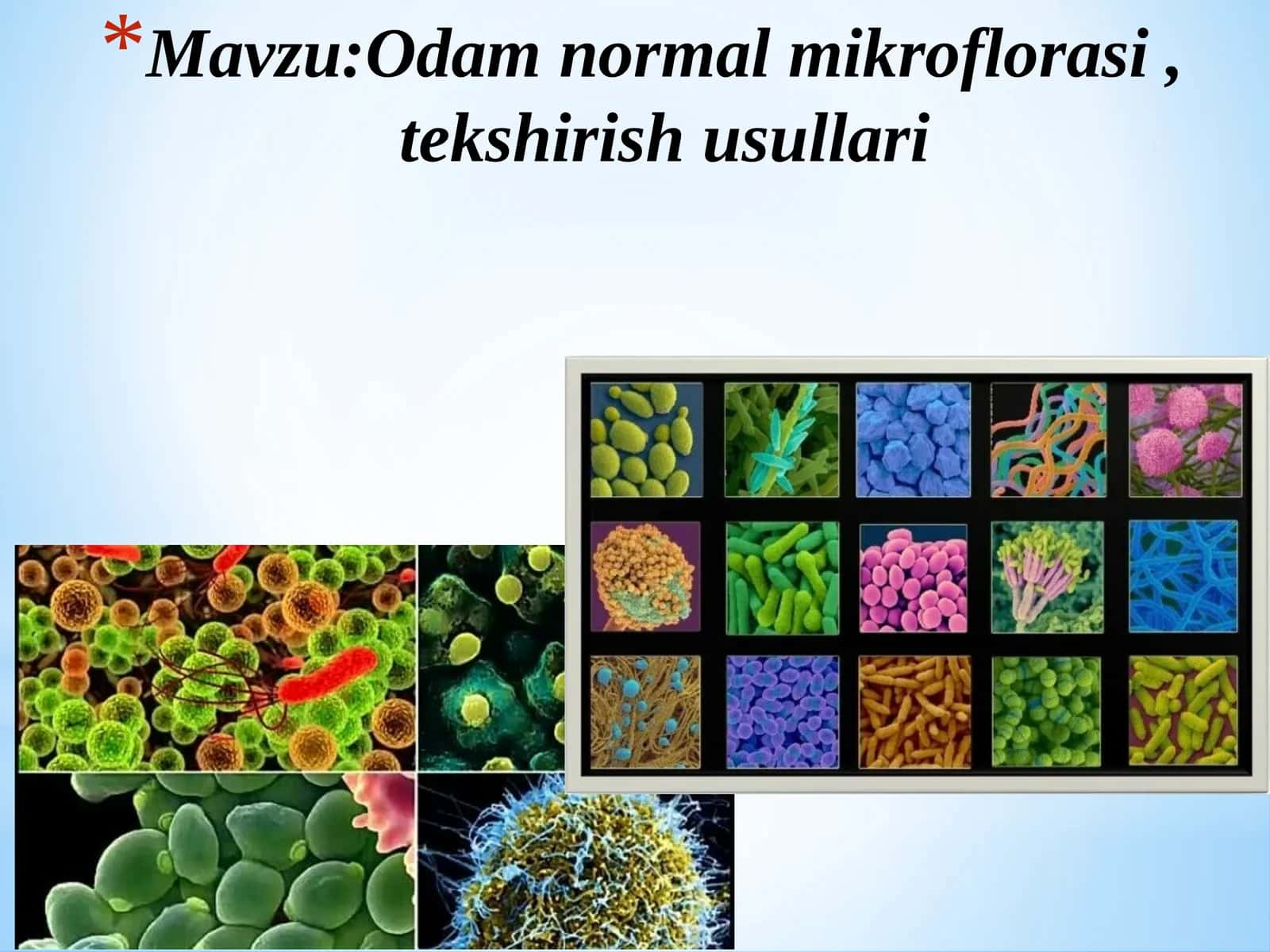 Odam normal mikroflorasi