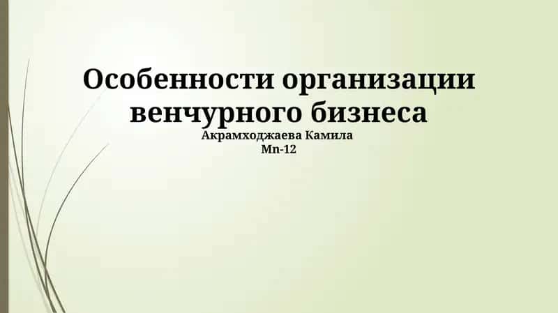 Особенности организации венчурного бизнеса